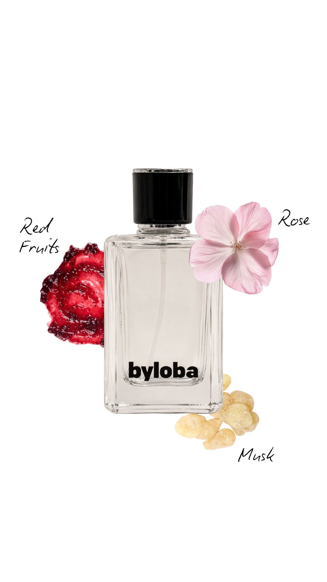 Rose Champagne